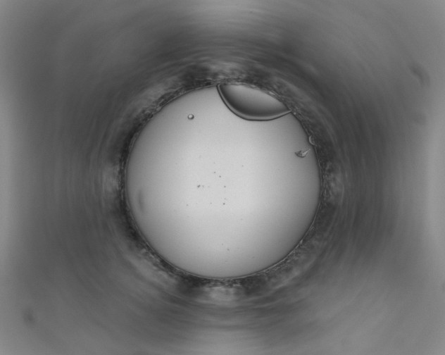 X0000110980756200907022056