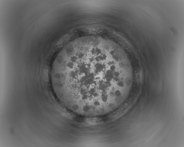 X0000110980757200907022056