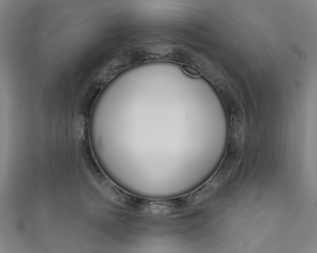 X0000110980758200907022056