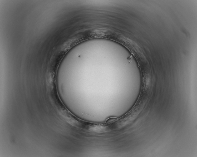 X0000110980759200907022056