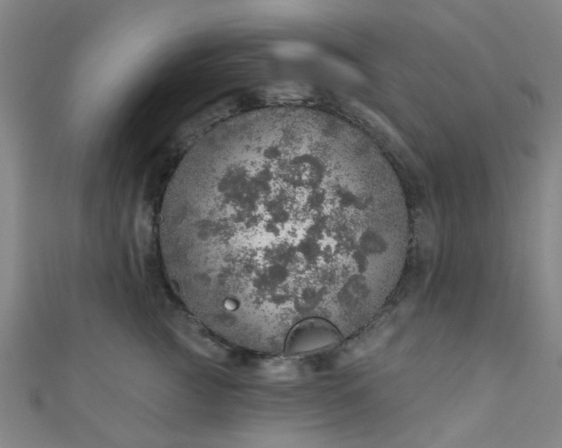 X0000110980761200907022056