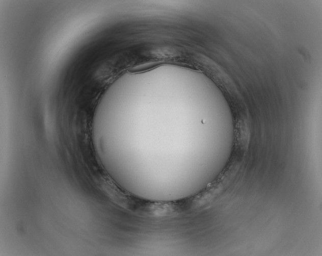 X0000110980762200907022056