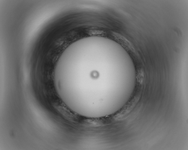 X0000110980763200907022056