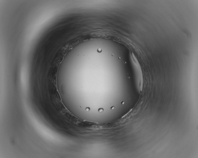 X0000110980764200907022056