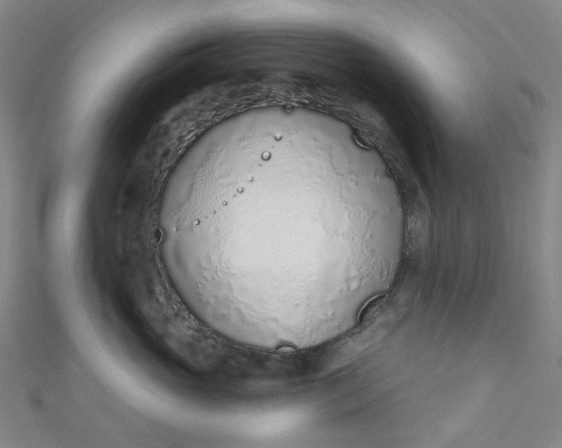 X0000110980765200907022056