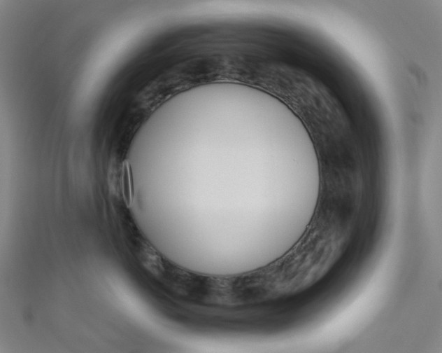 X0000110980766200907022056