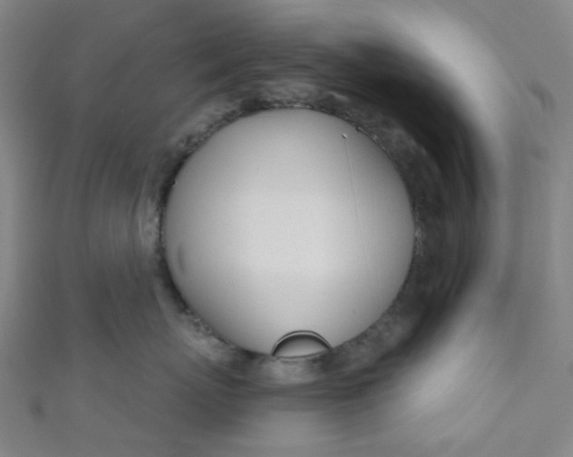 X0000110980767200907022056