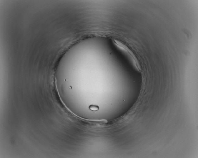 X0000110980768200907022056