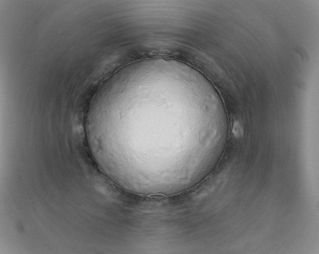 X0000110980771200907022055