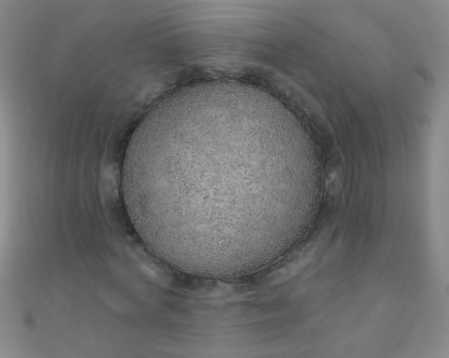 X0000110980772200907022055