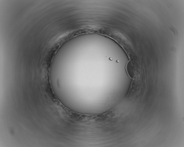 X0000110980773200907022055