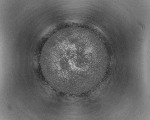 X0000110980774200907022055