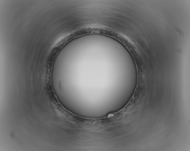 X0000110980775200907022055