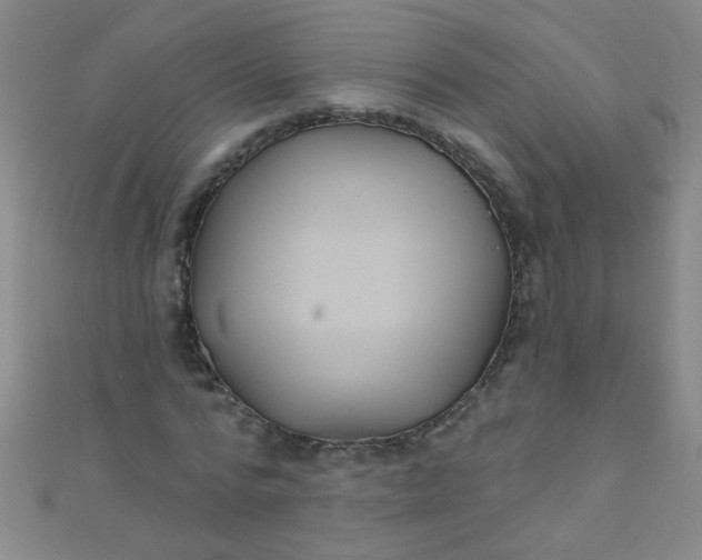 X0000110980776200907022055