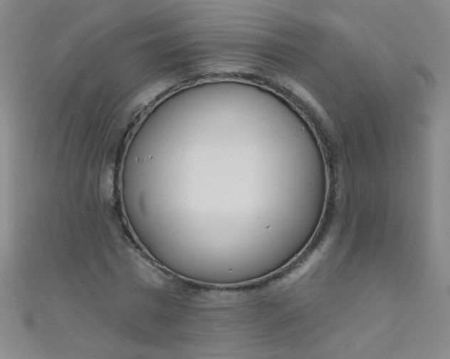 X0000110980777200907022055