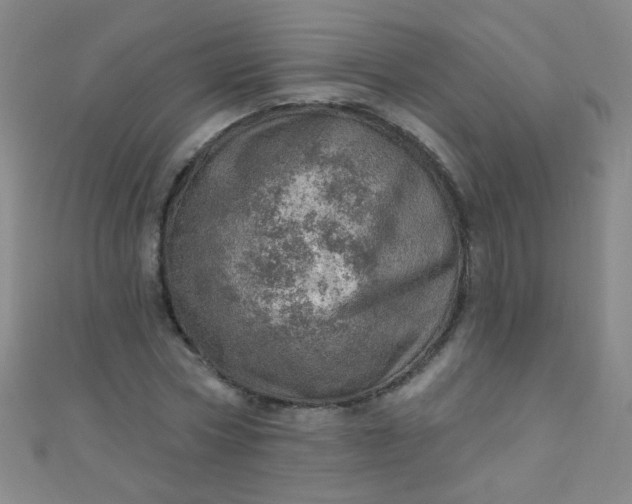 X0000110980778200907022055