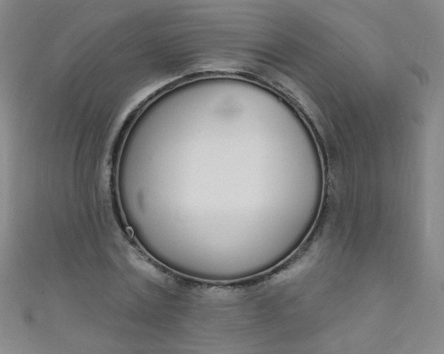 X0000110980779200907022055