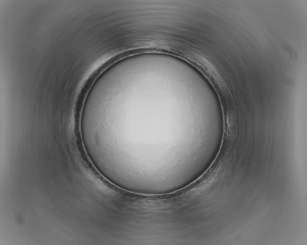 X0000110980780200907022055