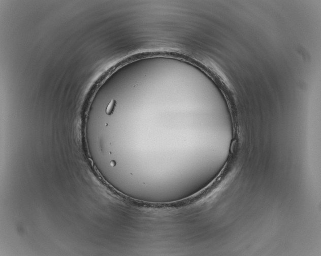 X0000110980781200907022055