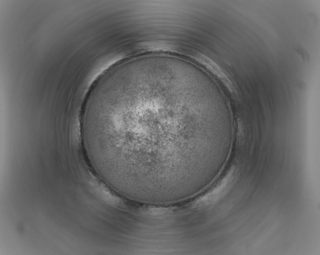 X0000110980782200907022055