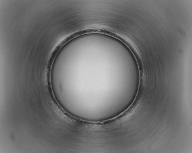 X0000110980783200907022055