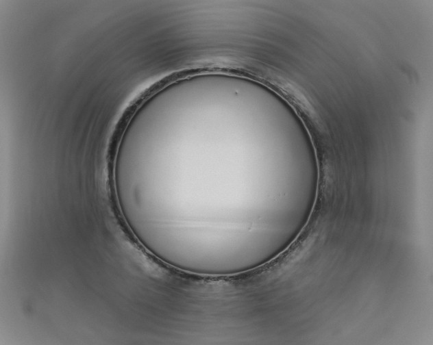 X0000110980784200907022055