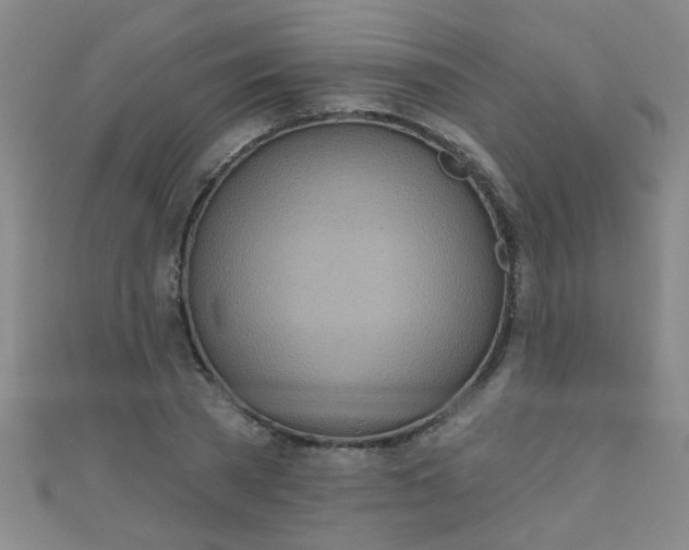 X0000110980785200907022055