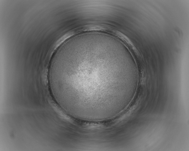 X0000110980786200907022055