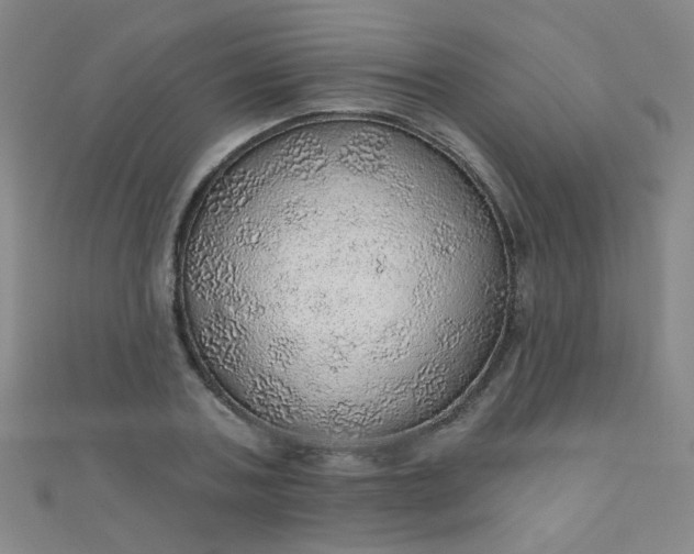 X0000110980787200907022055