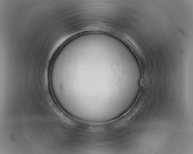 X0000110980788200907022055