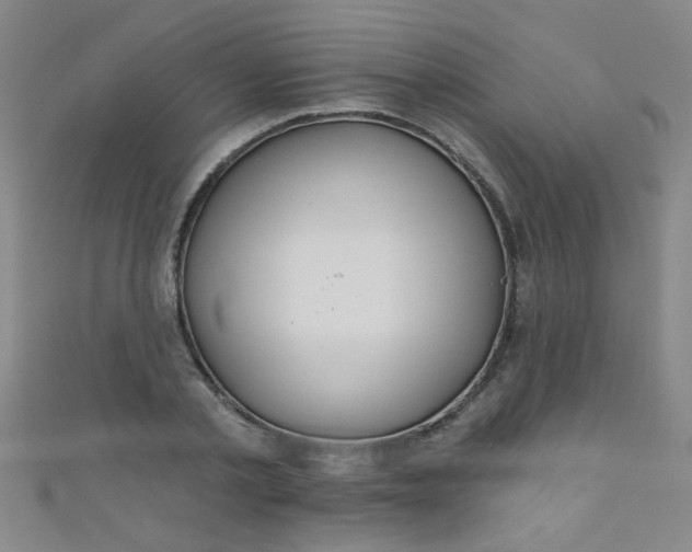 X0000110980789200907022055