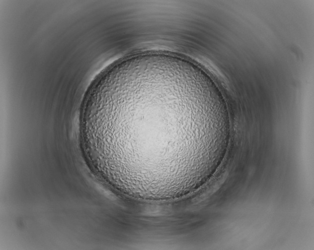 X0000110980790200907022055