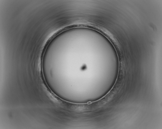 X0000110980791200907022055