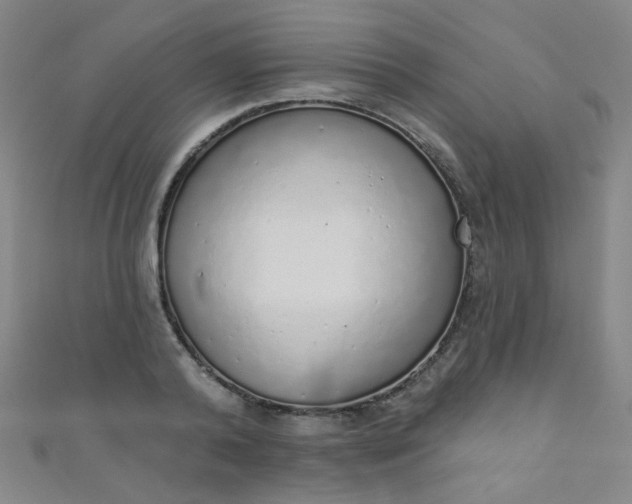 X0000110980792200907022055