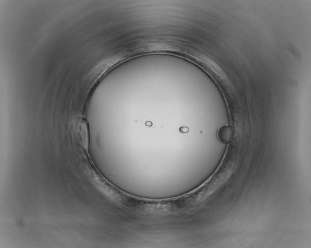 X0000110980793200907022055