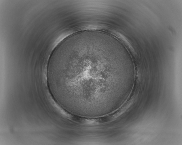 X0000110980794200907022055