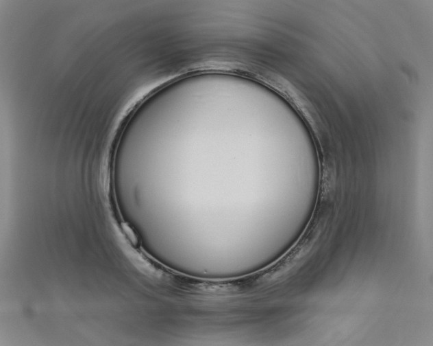 X0000110980795200907022055