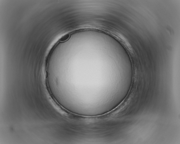 X0000110980796200907022055