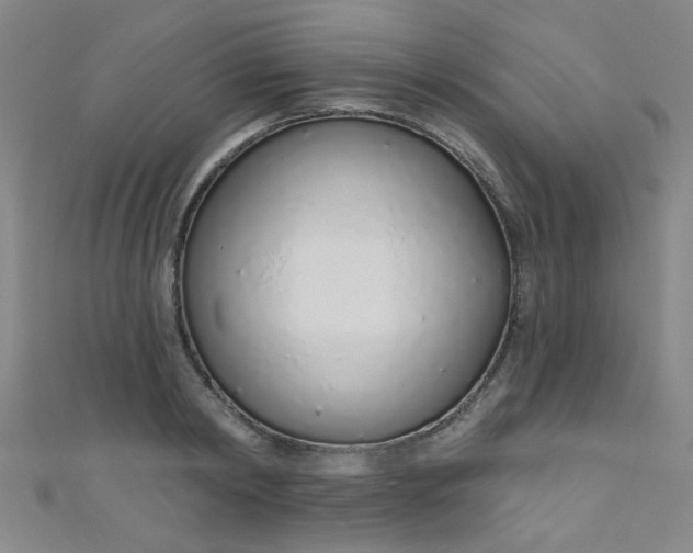 X0000110980798200907022055