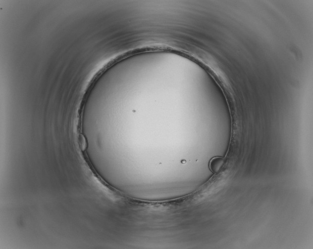 X0000110980799200907022055