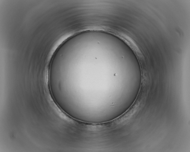 X0000110980804200907022054