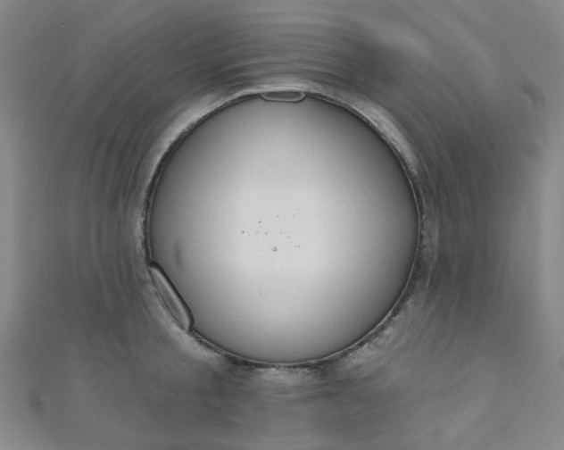 X0000110980805200907022054