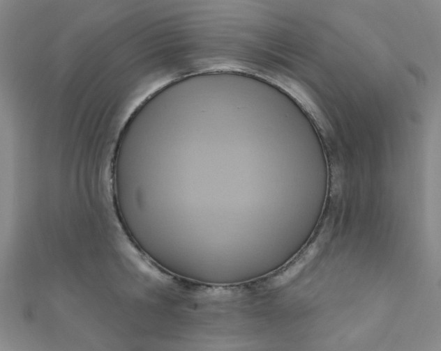 X0000110980806200907022054