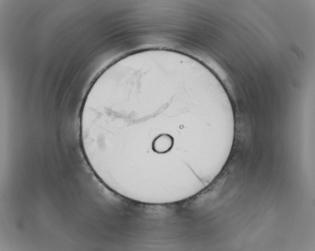 X0000110980807200907022054