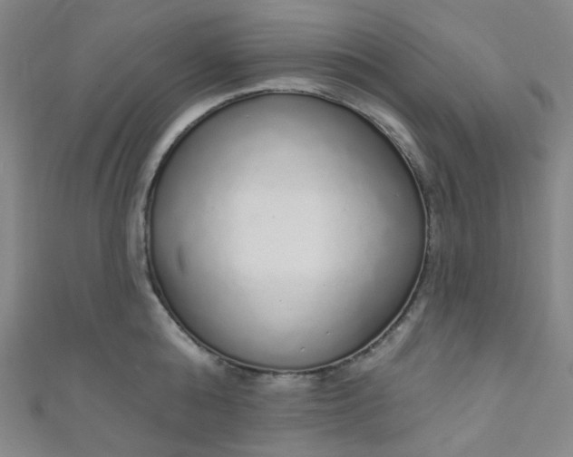 X0000110980808200907022054