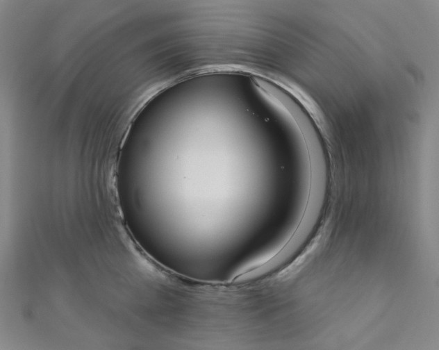 X0000110980809200907022054