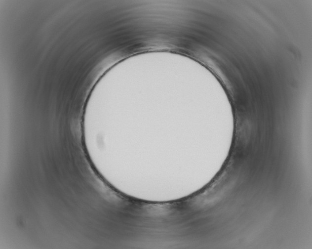 X0000110980810200907022054