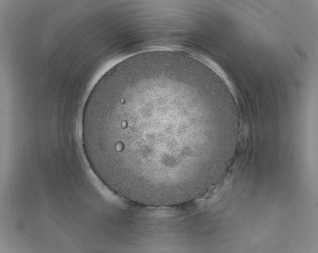 X0000110980811200907022054