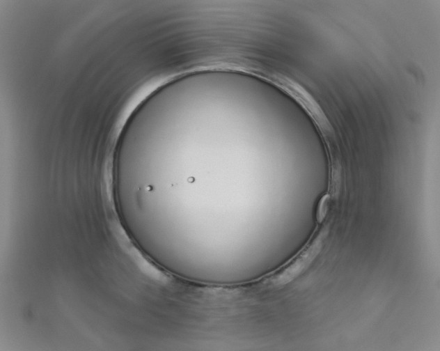 X0000110980812200907022054