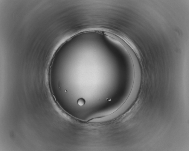 X0000110980813200907022054